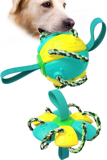 CyunCmay Pelota Perro, Frisbee Perro con Rebote Automático, Juguetes para Perros, Regalo de Cumpleaños para Perros, Juguete Perro Interactivo, Juguete para Cachorros y Perros Medianos y Grandes