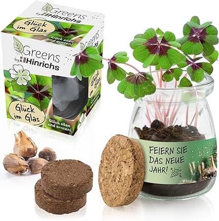 Hinrichs Greens Kit Cultivo de Trebol 4 Hojas – Semillas Trebol 4 Hojas – Vidrio con Tapa de Corcho y Semillas – Regalos Excepcionales – Regalos para Amantes del Jardín