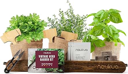 Mini Huerto Urbano Vintage de Plantas Aromáticas y Culinarias (Tomillo Albahaca Perejil y Cilantro) - Semillas Orgánicas de España - Kit Completo para Cultivar tus Hierbas Frescas en Casa