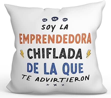 MUGFFINS Cojín 40x40 cm para EMPRENDEDORA Mujer Relleno Incluído - En Español - Todos te Advirtieron - Regalo Original y Divertido