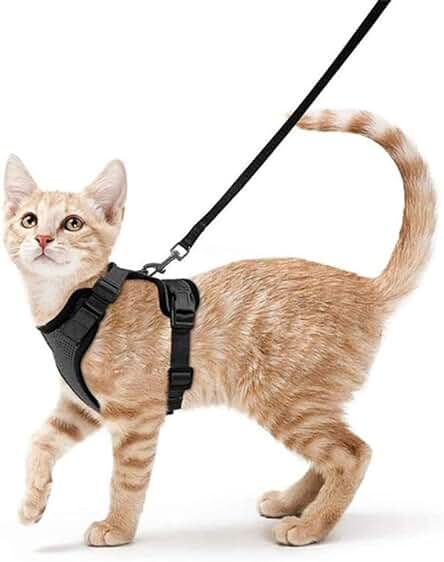 NeoSotre Arnes Gato Antiescape - Arnés para Gato Ajustable con Correa de Regalo - Accesorios para Gatos (S, Negro)