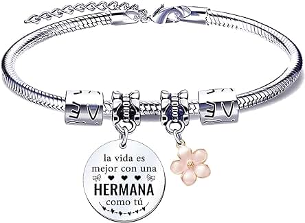 QTQTLP Regalo de Hermana Regalo de Hermana Mayor Regalo de Cumpleaños Hermana Hermana Pulsera Pulsera Acero Inoxidable Hermana Pulsera Personalizada Mujer Hermana Pulsera a la Mejor Hermana