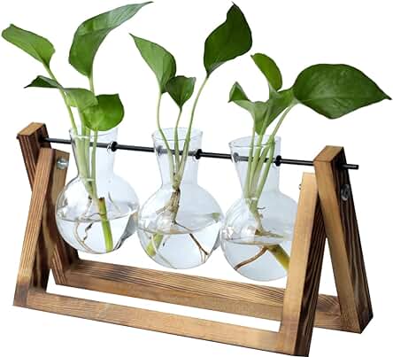 Regalos Originales para Mujer Terrario Plantas Naturales Interior Decorativas Ideas Regalos Navidad Regalo Cumpleaños Mujer Personalizados Amigo Invisible Divertidos Parejas Padres mama Mujer Joven