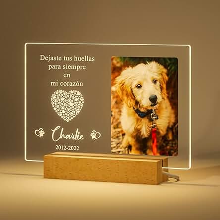 Regalos Personalizados Conmemorativos para Perros Foto Personalizada Luces Nocturnas Regalos para Pérdida de Mascotas Placa Conmemorativa para Perros Marco de Fotos para Gatos Regalos de Simpatía