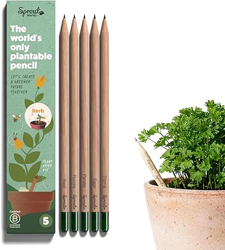 Sprout Lápices Plantables Edición de Hierbas | Pack de 5 | Lápices de Grafito Plantables | de Madera Ecológica I Un Regalo Ideal para los Amantes de los Huertos Urbanos