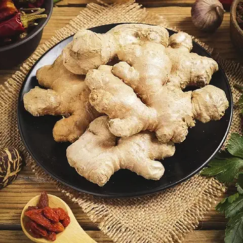 400 Piezas de Semillas de Jengibre para Plantar Zingiber Ginger - Serie de Plantas Raras - Plantas de Interior Purificadoras de aire Plantas Resistentes para Jardín Plantas de Interior Plantas Exót  