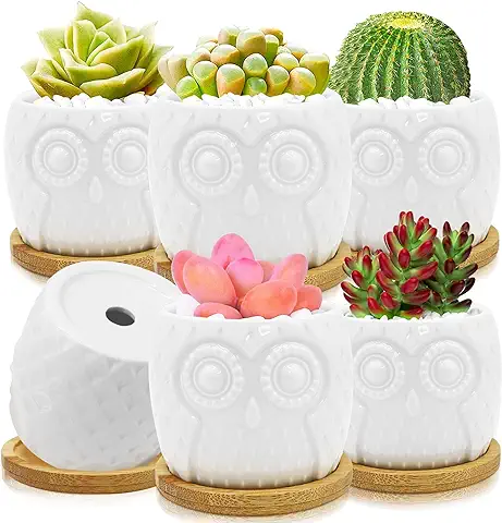 6 Piezas Macetas de Ceramica para Suculentas, Macetas Decorativas para Cactus, Mini Maceteros Pequeño con Agujero de Drenaje y Plato de Bambú, Plantas Casa y Jardin Boda Decorativos Interior, Blanca  