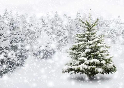 AIIKES 7x5FT Fondo de Nieve Invierno Natural Copo de Nieve Árbol de Navidad Fotografía Fondo Blanco Invierno Nieve País de Las Maravillas Fondo Bebé Ducha Familia Fiesta Decoración Fondo 11-202  
