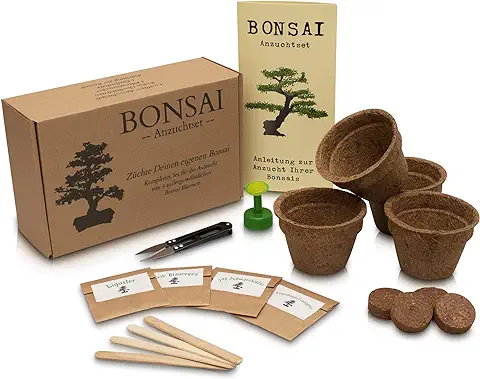 ANISTA - Kit de Cultivo de Bonsái - Cultiva tus Propios árboles Bonsái. 4 Variedades de Semillas de Bonsái en Nuestro Juego Completo de Plantación. Bonito Regalo para Todas las Ocasiones.  