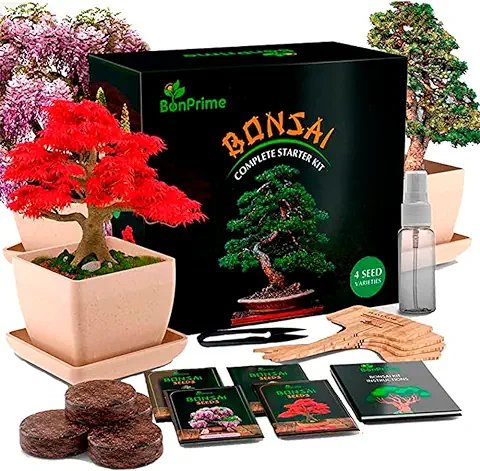 BonPrime Kit Bonsai para Principiantes - Huerto Urbano con 4 Semillas Bonsai, 4 Macetas de Bambú, 4 Turbas, 4 Marcadores, Pinzas, Spray - Mini Huerto en Casa - Set de Cultivo de Bonsais  