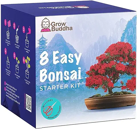 Bonsai Tree Kit Cultiva tus Propias 8 Hermosas Variedades de árboles Bonsai en casa Kit de Cultivo Completo: Adecuado para Principiantes y Expertos Regalo para Mujeres, Hombres y Niños  