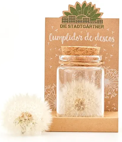 Cumple-Deseos I Verdadero Diente de León en un Frasco I Preservado de Forma Permanente I Regalo Creativo para Cualquier Ocasión I Regalo para Cumpleaños, Boda, Día de la Madre, Pascua, etc. … Cumple-Deseos I Verdadero Diente de León en un Frasco I Preservado de Forma Permanente I Regalo Creativo para Cualquier Ocasión I Regalo para Cumpleaños, Boda, Día de la Madre, Pascua, etc. …