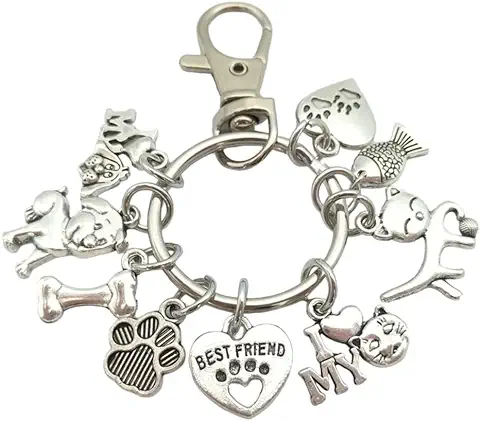 Llavero Veterinaria o Veterinario Hombre y Mujer - Llavero con Corazón con Huellas, Pez, Gato, Hueso, Perro... Para Veterinario - Regalo para Amantes de los Animales o Mascotas - Llavero Unisex  