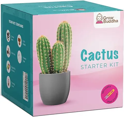 Grow Buddha Kit de Cactus Cultiva Tus Propias Semillas de Cactus Kit de Inicio - Cultiva Fácilmente Hermosas Variedades de Plantas de Cactus con Nuestro  