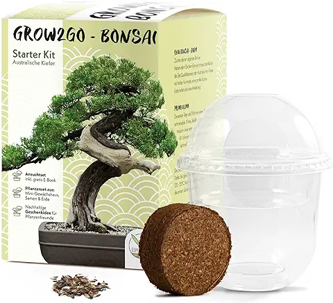 Descubre el Fascinante Mundo de la Horticultura con Nuestros Kits de Cultivo para Principiantes