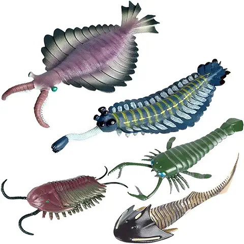 JOKFEICE Figuras de Animales 5 pcs Realista Plástico Organismo Antiguo Cámbrico Incluye Anomalocaris, Opabinia etc. Proyecto de Ciencia, Regalo de Cumpleaños, Decoración de Pastel para Niños  