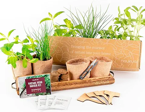 Kit Cultivo Vintage de Hierbas Aromaticas y Culinarias (Cebollino, Orégano, Menta y Salvia) - Semillas 100% Orgánicas de España - Kit Completo para Cultivar Tu Mini Huerto Urbano En Casa  