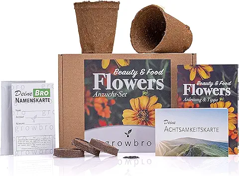 Kit de Iniciación para Bonsái, kit de Cultivo de Mimosa Growbro, tu Primer Bonsai, Regalo para Principiantes, Pequeño Regalo de Agradecimiento para Mujeres  