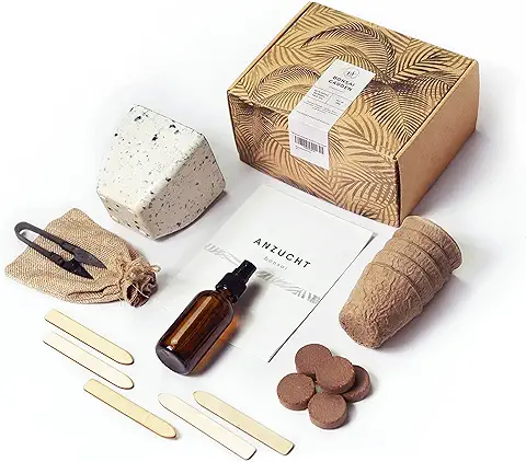 Kit de Jardinería de Bonsái para Principiantes TODO EN UNO; Kit Cultivo de 24 Piezas que Incluye Semillas, Maceta de Bambú y Herramientas; kit Regalo; set de Cultivo de Semilla de Bonsái Exclusiva  