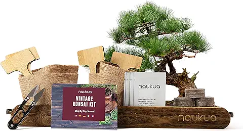 Kit Vintage Bonsai - 4x Especies de Bonsai (Semillas Orgánicas) - Idea Única de Regalo - Todo Lo Que Necesitas Para Cultivar Tus Bonsais en Casa de Manera Fácil y Cómoda - Guia Completa de Plantación  