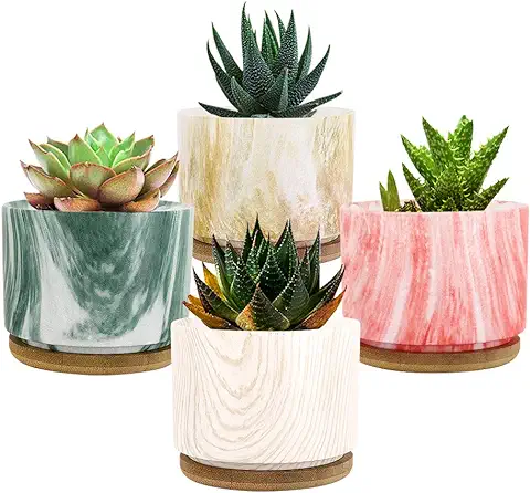 Lewondr Macetas de Cerámica para Flores y Plantas, [4 PZS / 9 x 9 x 6,5 cm] Conjunto de Contenedor Plantador con Bandeja de Bambú y Agujero para Suculenta Cactus Oficina Casa Ventana, Multicolor  