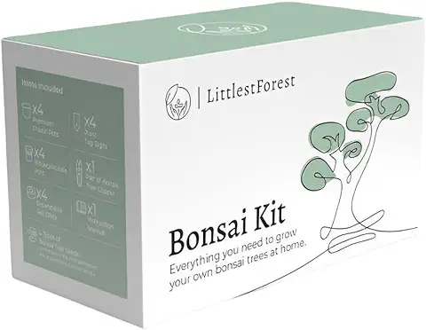 LittlestForest - Kit Bonsai para Principantes - Todo lo que Necesitas para Cultivar tus Propias Plantas Bonsais Naturales Interior y Exterior. - Semillas y Herramientas Bonsai  