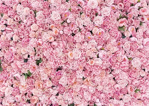 LYWYGG 7x5FT Fondos de Pared Rosa Telones de Fondo Florales Fondos de Fotografía Floral Telón de Fondo de Pared de Flores 3D Telón de Fondo de Flores Rosa Telón de Fondo de Compromiso CP-314  
