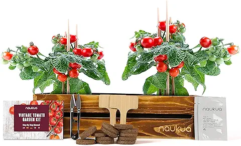 Mini Huerto Urbano Vintage de Tomates Cherry - Semillas Orgánicas de España - Kit Completo para Cultivar Tomates Cherry en Casa.  