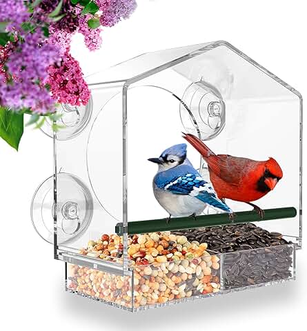 Mrcrafts| Comedero Pajaros Exterior para Ventana, Regalos Originales para Amantes del Jardín  