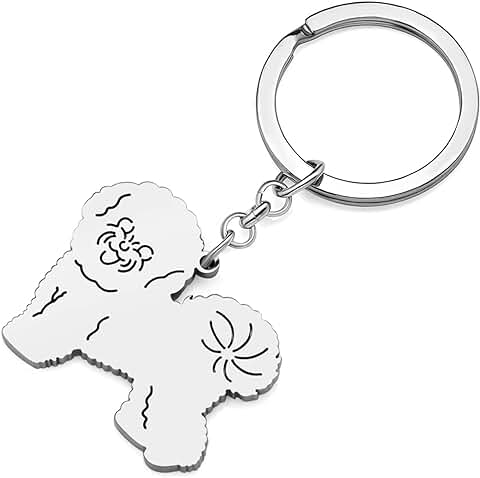 RAIDIN Llavero de Acero Inoxidable Chapado en oro y Plata, Bonito Llavero de Perro para Mujeres y Niñas, Regalos de Coche, Llaves de Monedero, Accesorios  