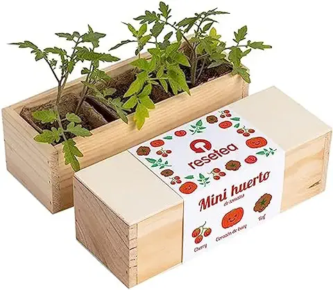 Resetea | Kit Autocultivo | Mini Huerto de Tomates | Cherry, Corazón de buey y raf.  