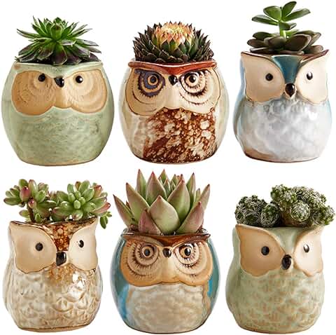 SUN-E 6.35CM Búho Cerámica Esmalte Que Fluye Base Juego en Serie Planta Suculenta Maceta Cactus Maceta de Macetas con Orificio Idea Juego de 6 en  