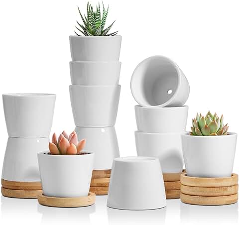 T4u 6 CM Ceramica Blanca Macetas para Flores Conjunto de 12, Diseño Simple Cerámicos Planta Maceta Suculento Cactus Planta Contenedor Vivero Macetas de Jardín Envase  