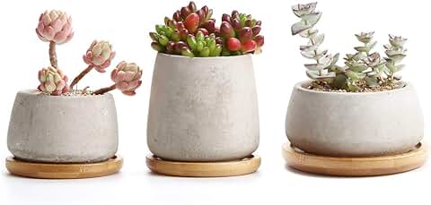 T4u Rachel's Serie de Cemento Suculento Cactus Macetas Jardineros de Macetas Contenedores Cajas de Ventana Colección con Bandeja de, Paquete de 3  
