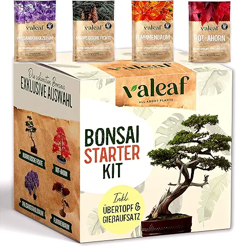 Valeaf Kit de Iniciación para Bonsái, Cultiva tu Propio árbol Bonsái. El Juego de Cultivo Incluye 4 Tipos de Semillas de Bonsái y Accesorios, para Principiantes, el Regalo Ideal para Plantar árboles  