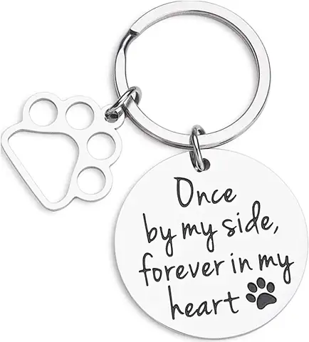 Ylinwtech 1 PCS Pérdida De Huellas De Huellas De Huellas, Llavero De Acero Inoxidable, Llavero Conmemorativo para Perro Con Recuerdo De Perro para Pérdida Perro Gato Recuerdo  