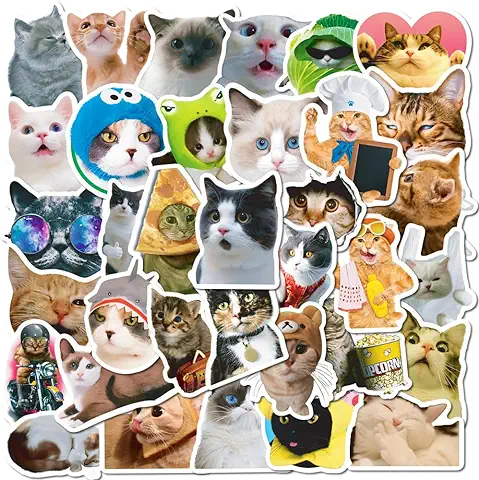 ZYMR Divertidas Pegatinas de Gatos - 50 Pegatinas de Vinilo Impermeables para Amantes de los Gatos | Maleta, Portátil, Botellas de Agua, Coche, Monopatín, Pegatinas Lindas para Gatos  