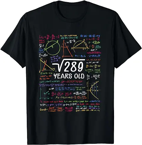 17 Cumpleaños Chica Chico Raíz Cuadrada 289 = 17 Años Camiseta  