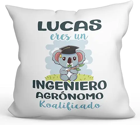 MUGFFINS Cojín Personalizable 40x40 cm para Ingeniero AGRÓNOMO Relleno Incluído - En Español - Koalificados Personalizados - Regalo Original y Divertido  