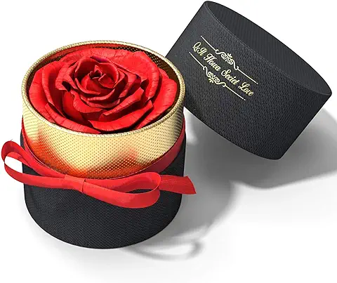 Exporee Rosa Eterna Hecha a Mano Rosa Preservada Caja de Regalo Rosas Nunca Marchitas Flor Eterna para el Amante Regalo para Ella en el día de San Valentín día de la Madre Cumpleaños o Navidad Exporee Rosa Eterna Hecha a Mano Rosa Preservada Caja de Regalo Rosas Nunca Marchitas Flor Eterna para el Amante Regalo para Ella en el día de San Valentín día de la Madre Cumpleaños o Navidad