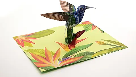 Hummingbird Pop Up Card Bird 3D Card Tarjetas de Felicitación para Mamá, Tarjeta para Esposa, Aniversario Pop Up Cards, Tarjeta Hecha a Mano, Regalos para Amantes de la Naturaleza Hummingbird Pop Up Card Bird 3D Card Tarjetas de Felicitación para Mamá, Tarjeta para Esposa, Aniversario Pop Up Cards, Tarjeta Hecha a Mano, Regalos para Amantes de la Naturaleza