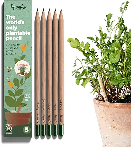 Sprout Lápices Plantables | EDICIÓN COCINA | Pack de 5 | Lápices de Grafito Plantables | de Madera Ecológica I Un Regalo para los Amantes de la Cocina Sprout Lápices Plantables | EDICIÓN COCINA | Pack de 5 | Lápices de Grafito Plantables | de Madera Ecológica I Un Regalo para los Amantes de la Cocina