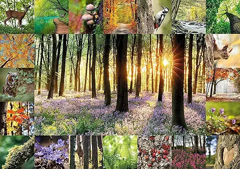 Starnberger Spiele - Rompecabezas de Baño Forestal - 1000 Piezas - Para Niños y Adultos - Regalo para Amantes de la Naturaleza y el Bosque Starnberger Spiele - Rompecabezas de Baño Forestal - 1000 Piezas - Para Niños y Adultos - Regalo para Amantes de la Naturaleza y el Bosque